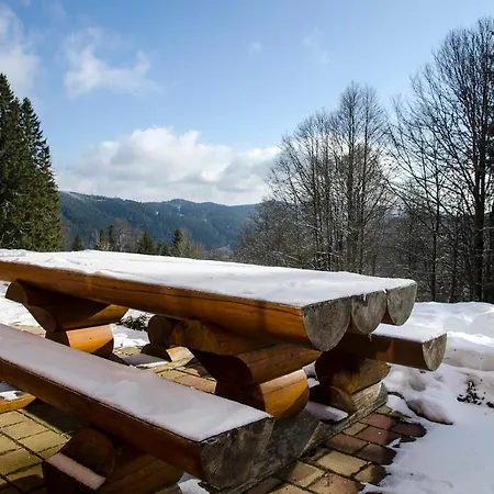 Luxus-ferienhaus Blockhaus Nr 3: Alpine Retreat With Sauna And Hot Tub Feldberg (Baden-Wurttemberg)